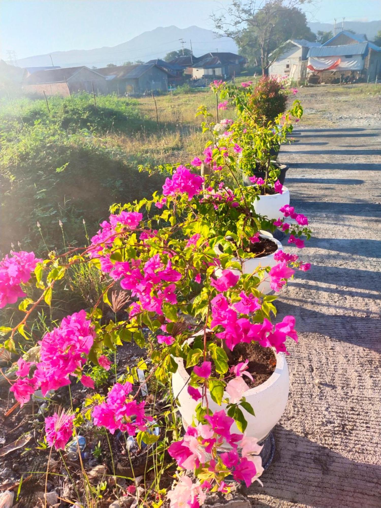 La Geiro Villa Labuan Bajo Exteriör bild