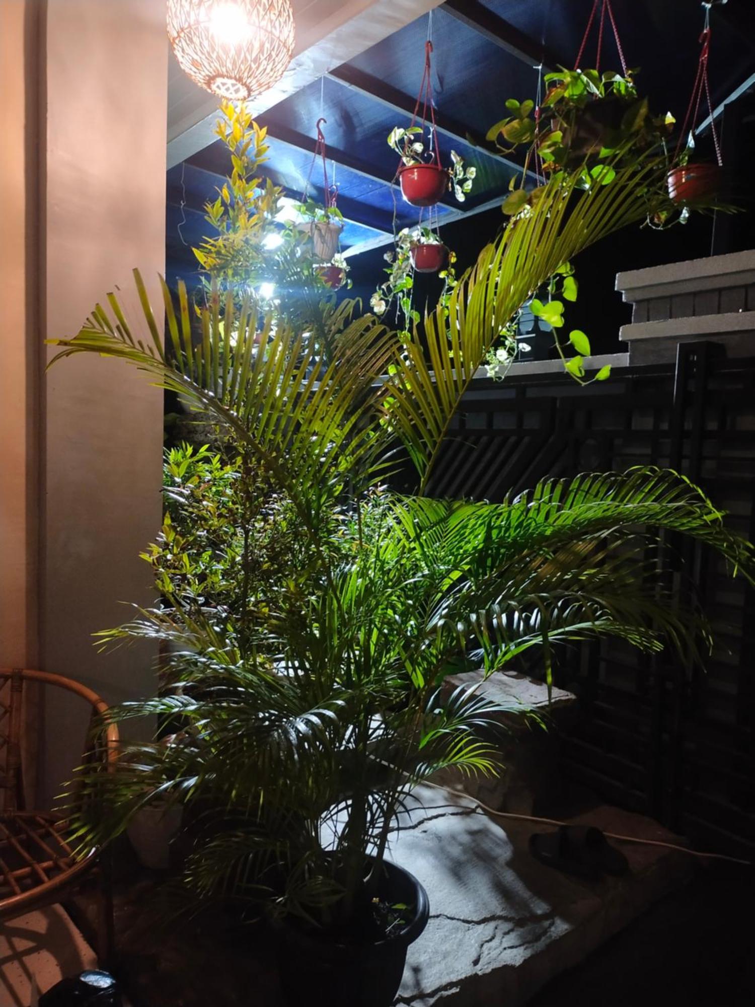 La Geiro Villa Labuan Bajo Exteriör bild